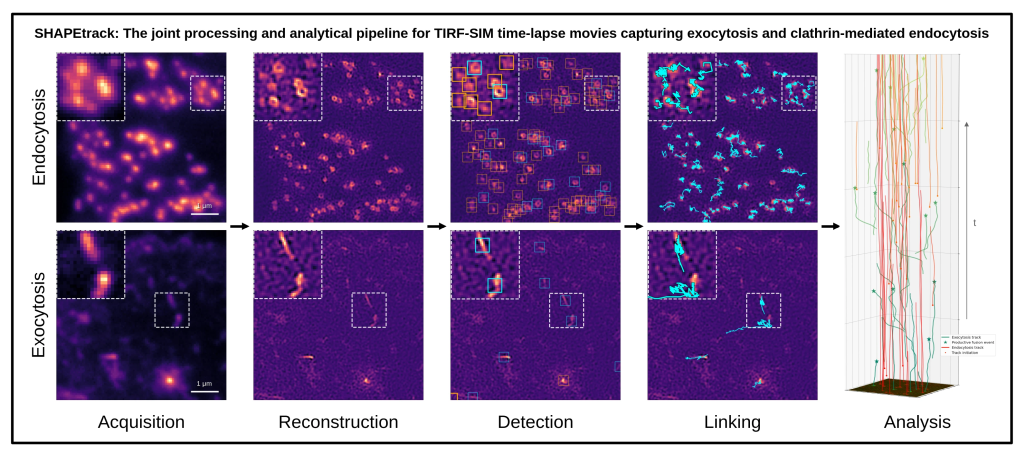Friday Seminars: Automated Tracking and Analysis of Plasma Membrane Dynamics in TIRF-SIM