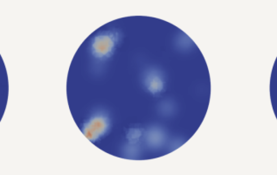 Talk: Image-Driven Latent-Dynamics Networks for Cell Viability